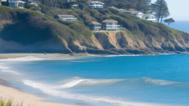 laguna beach state marine reserve​