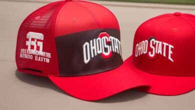 ohio state buckeyes hat​